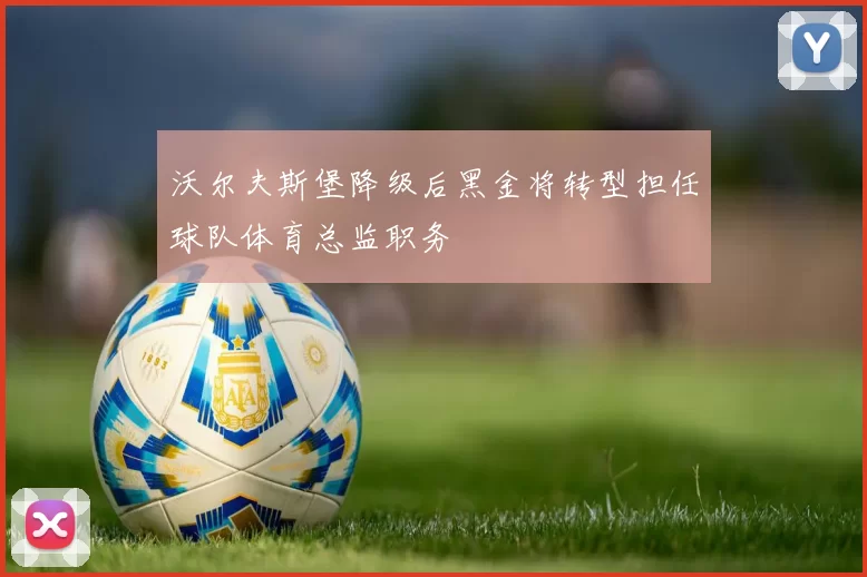 沃尔夫斯堡降级后黑金将转型担任球队体育总监职务